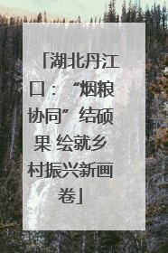 湖北丹江口：“烟粮协同”结硕果 绘就乡村振兴新画卷